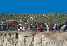 Villanueva de Tapia celebra del 10 al 12 de octubre la 156ª edición de su Real Feria de Ganado