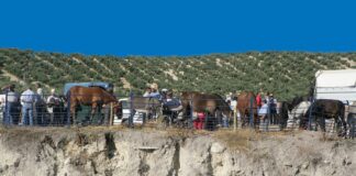 Villanueva de Tapia celebra del 10 al 12 de octubre la 156ª edición de su Real Feria de Ganado
